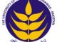 Agricultural University Peshawar AUP Merit List