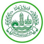 BISE Faisalabad Board PEC 8th Class Roll Number Slip