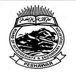 BISE Peshawar Board 11th Class Roll Number Slips